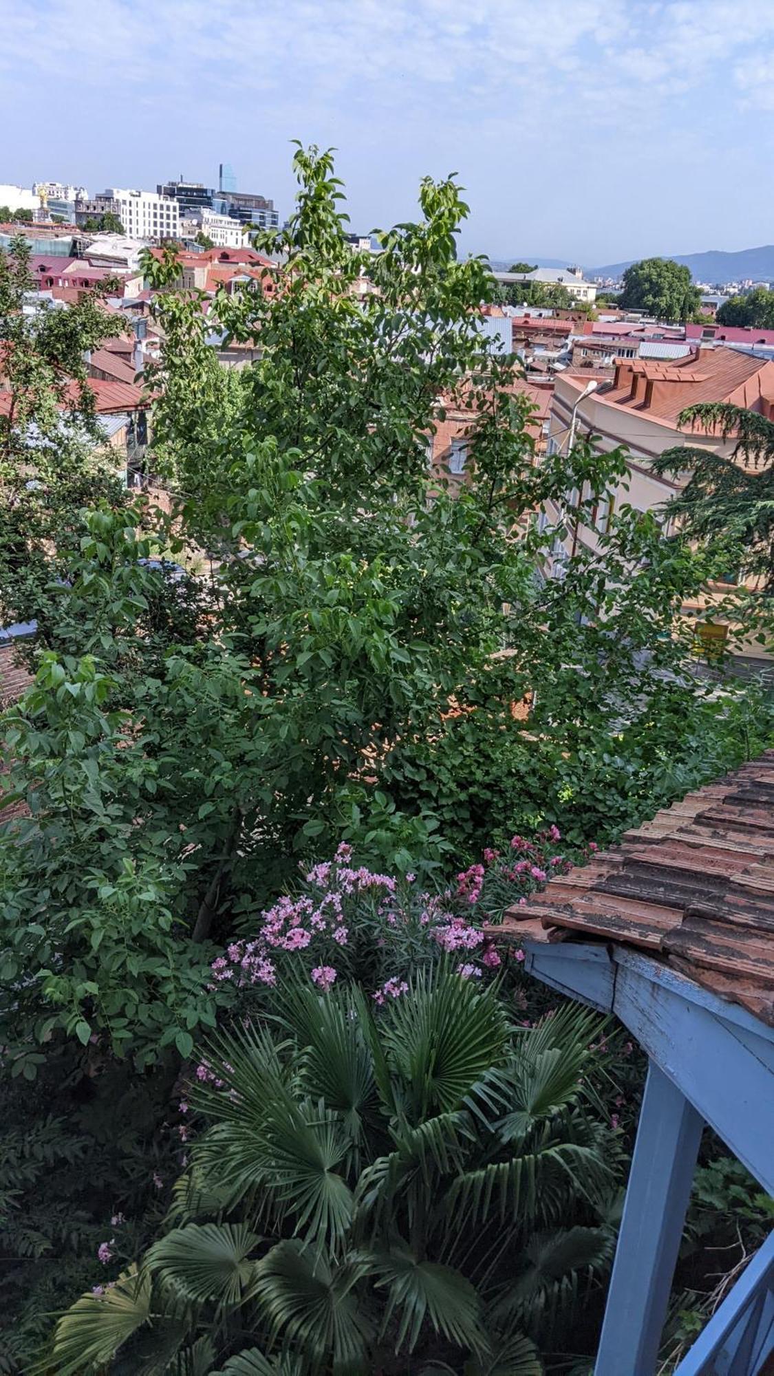 Hotel Kalanga Tbilisi Værelse billede